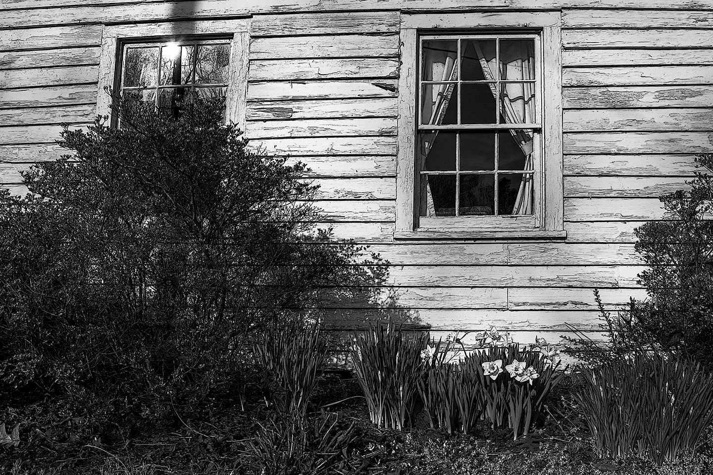 Unity 1 bw