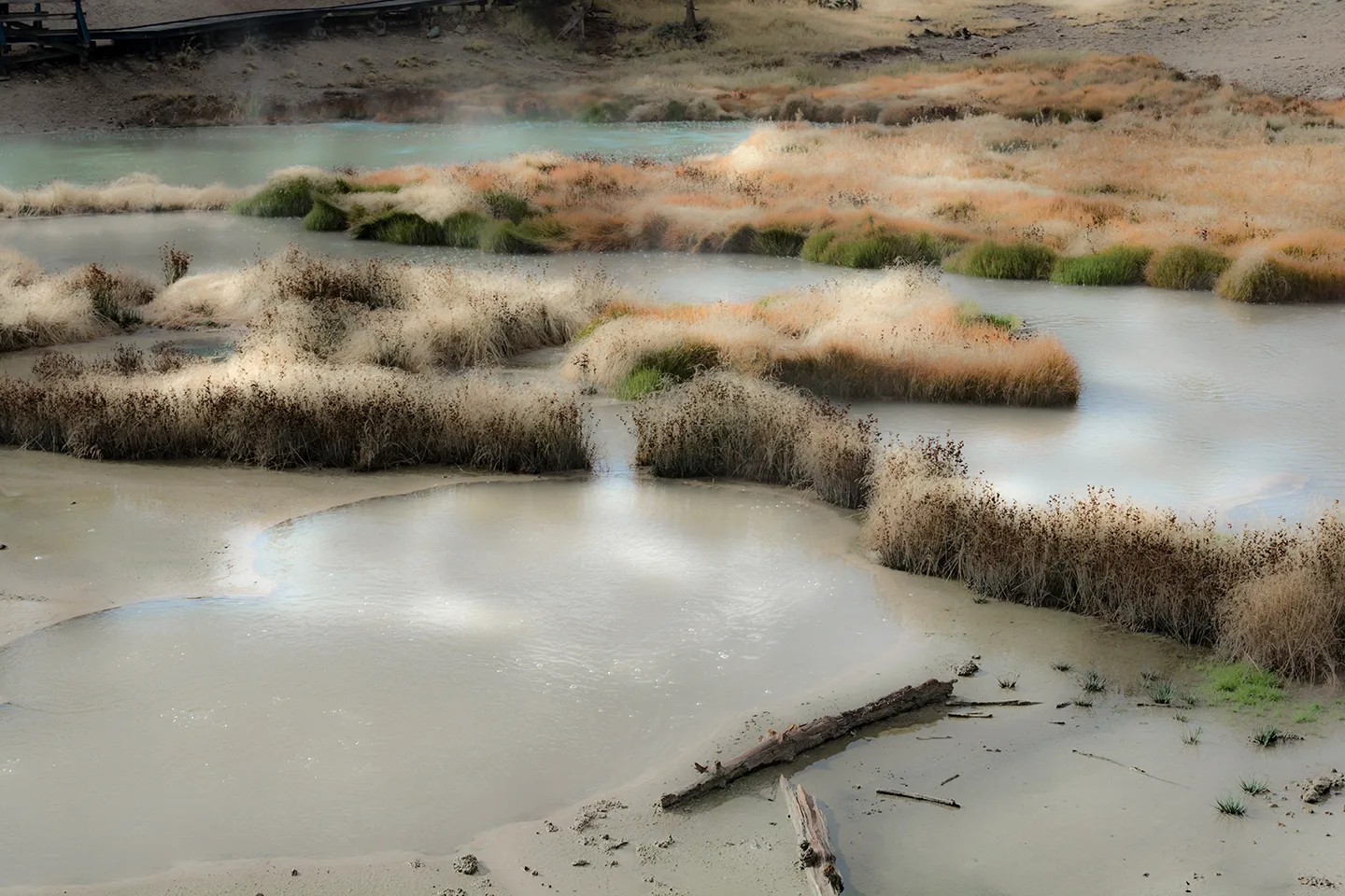 Yellowstone 54