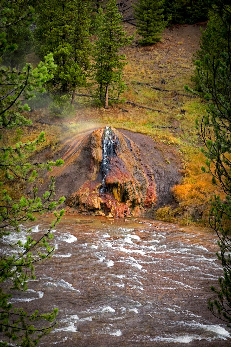 Yellowstone 43