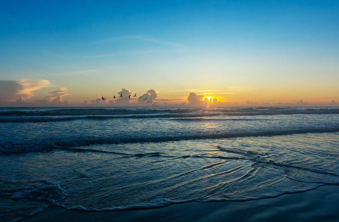 Nsb 39