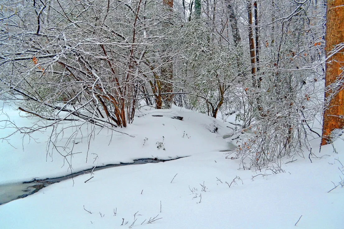 Yard Snow 9