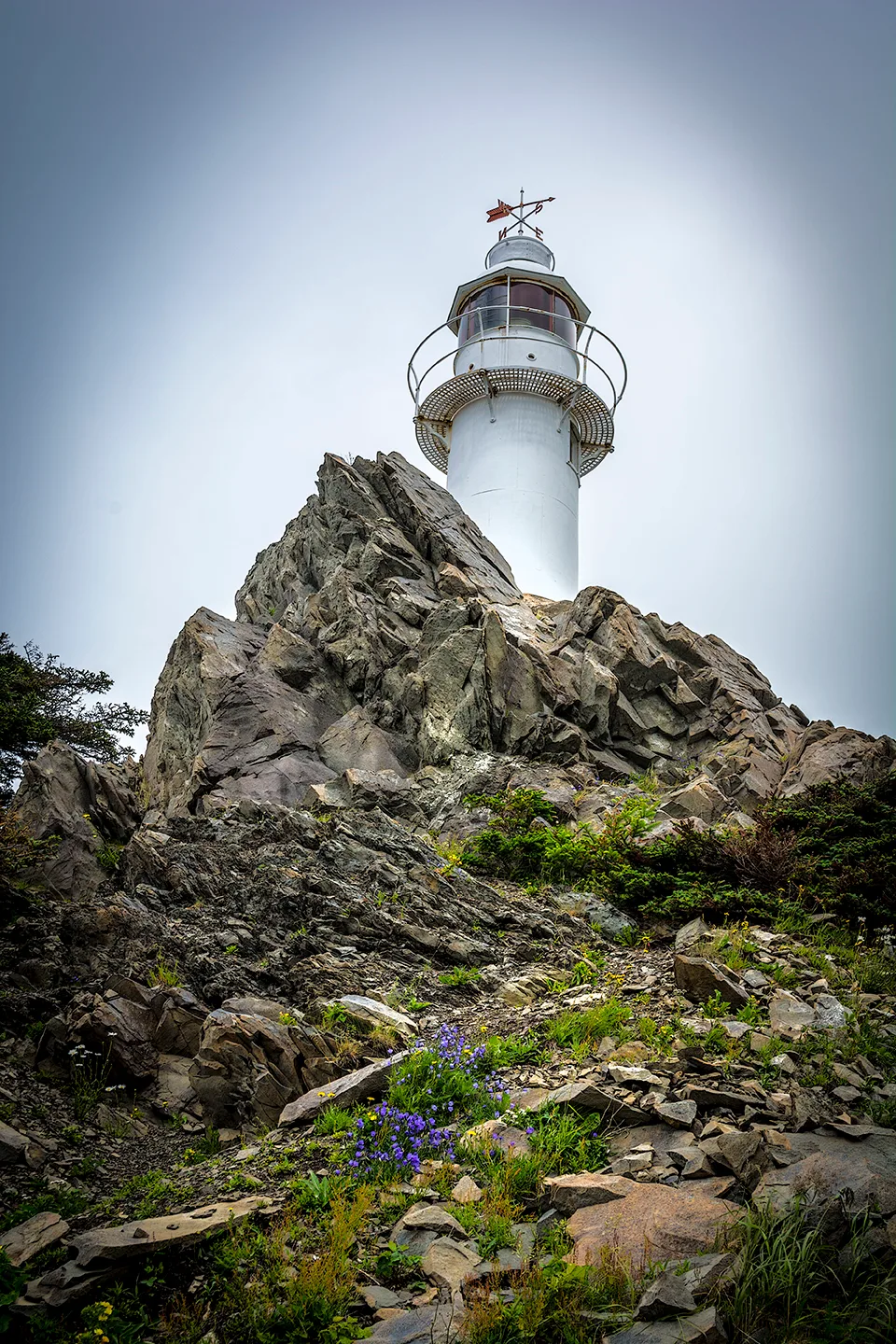 Rockyharbor 6