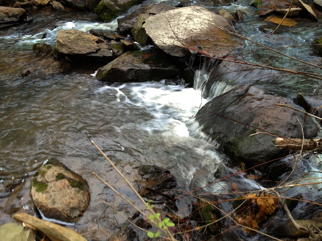 Uwharrie 3