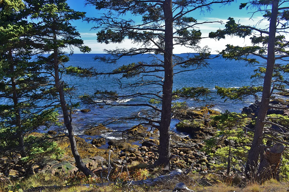 New England