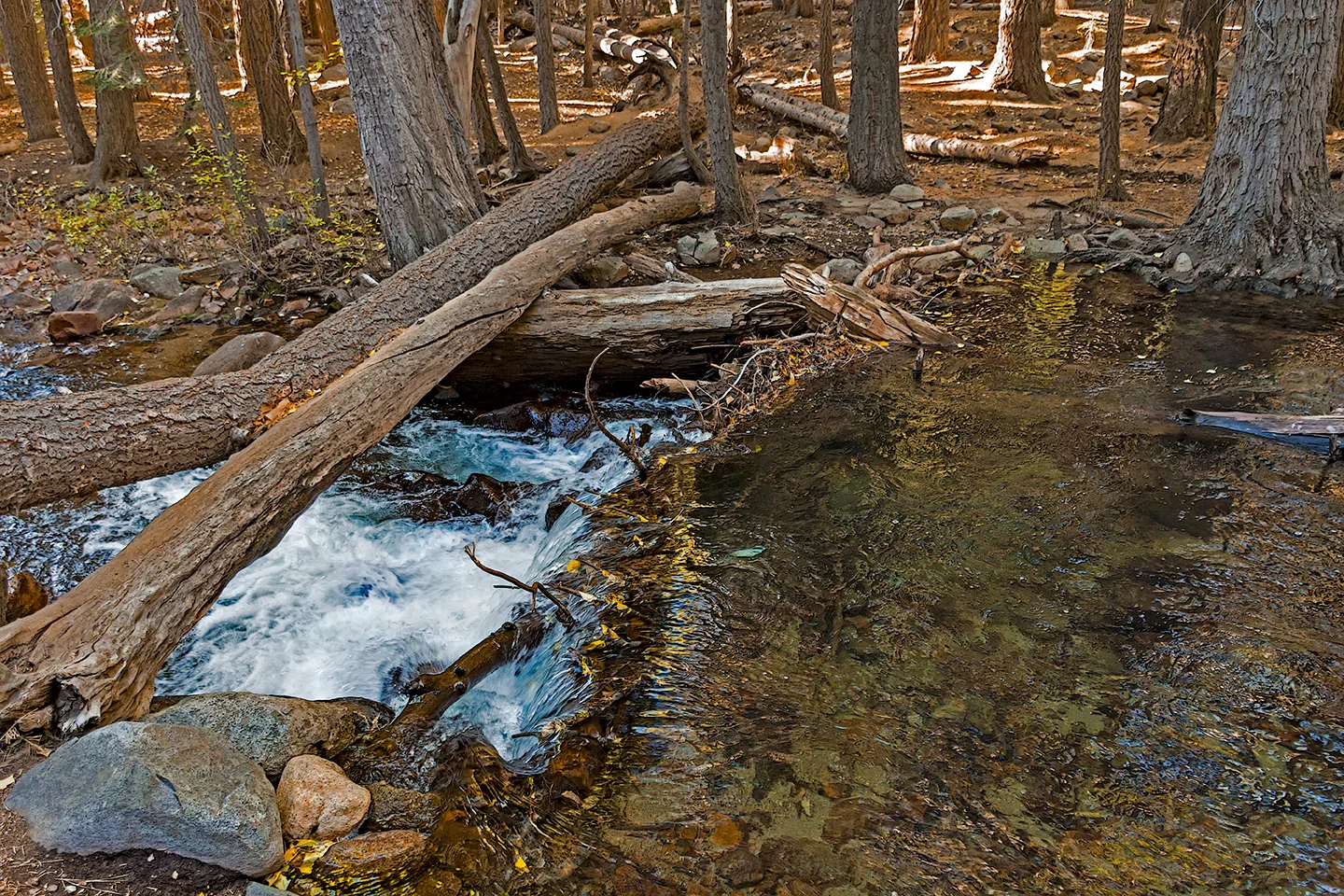 Yosemite 1