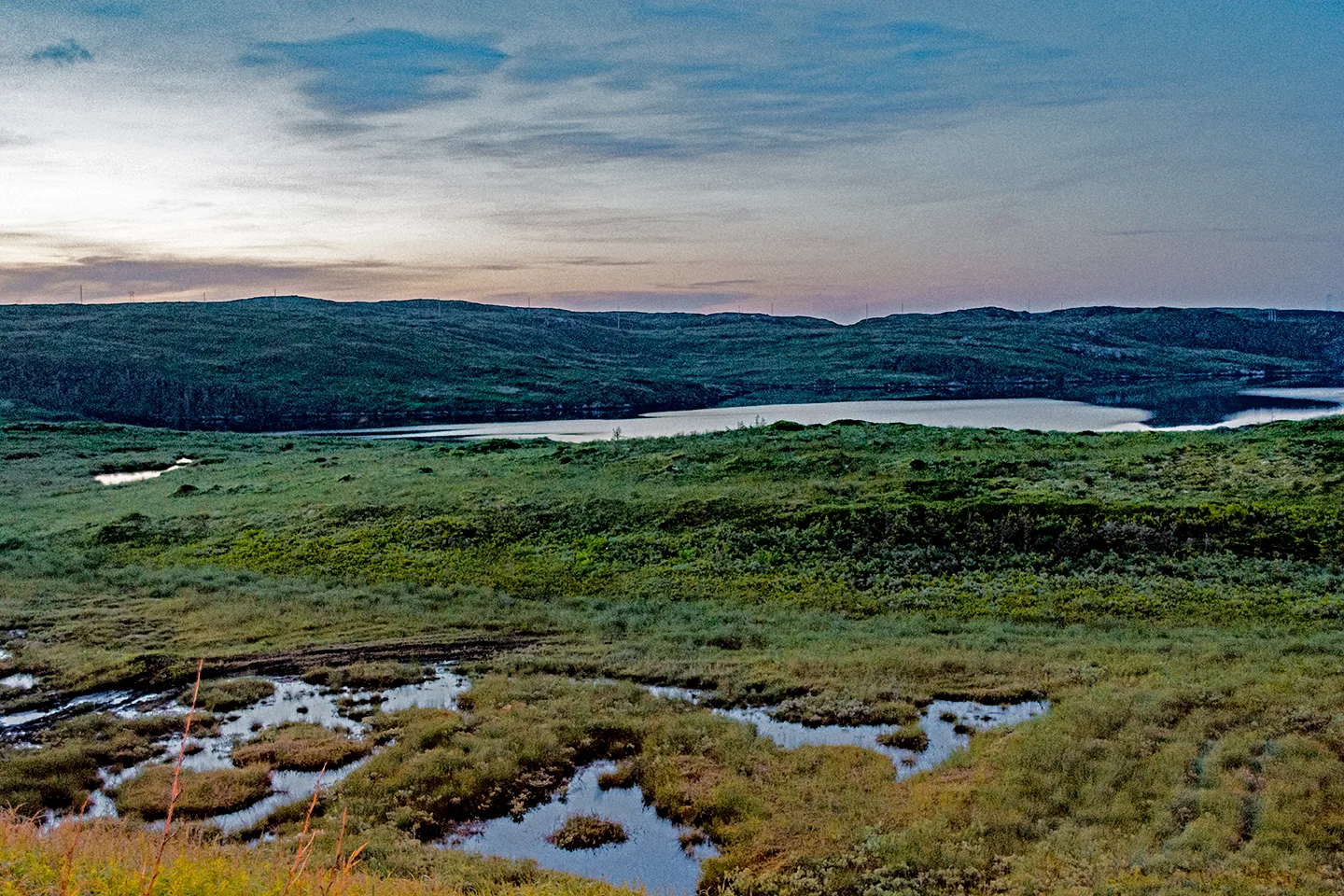Newfoundlandport 3