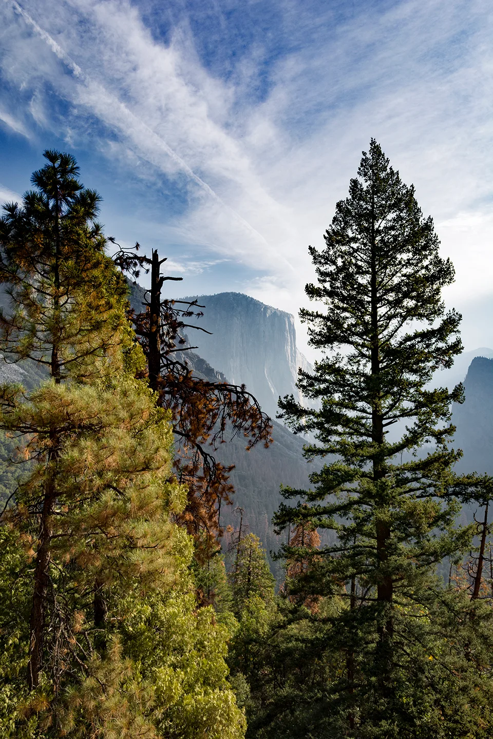 Yosemite 70