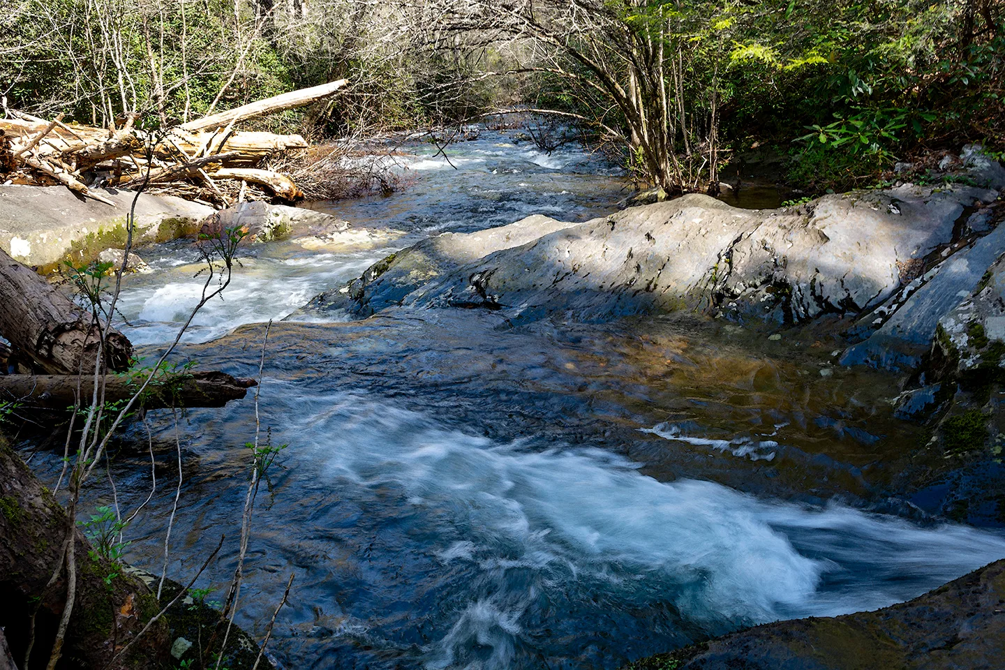 Abramefalls