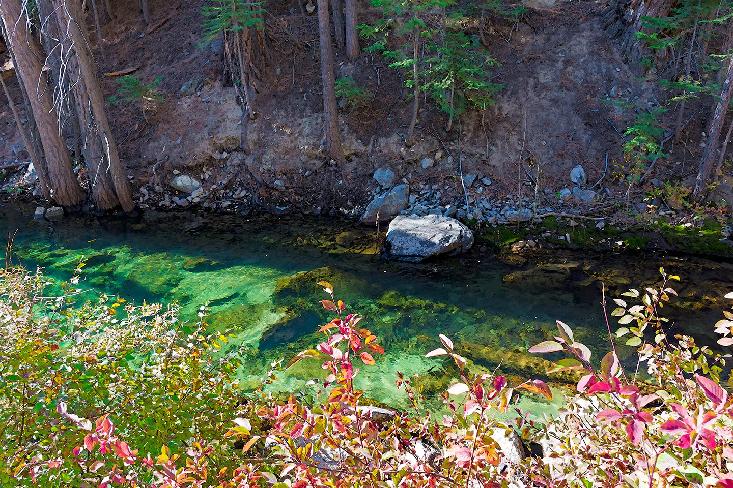 Yosemite 11