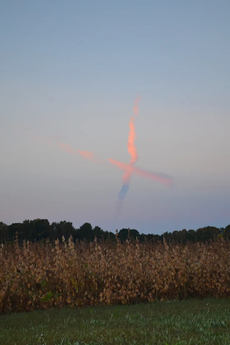 X
