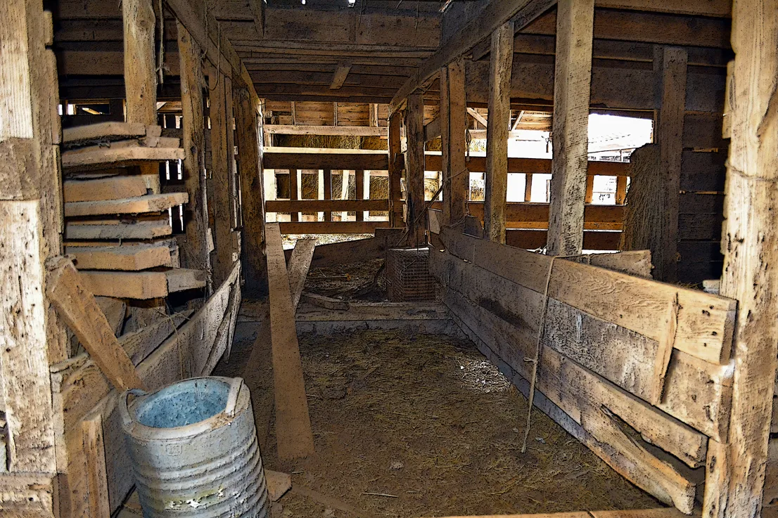 Inside Shed