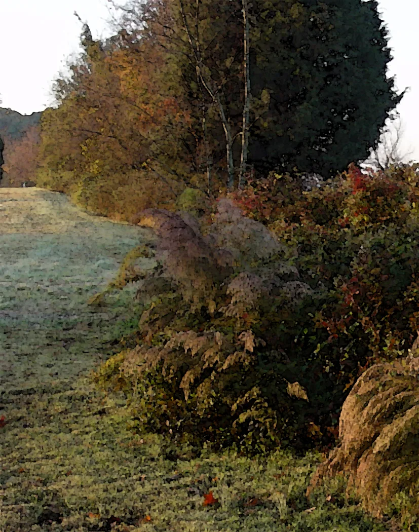 Autumn Fences