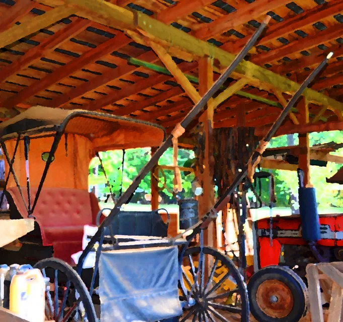 Buggie 6
