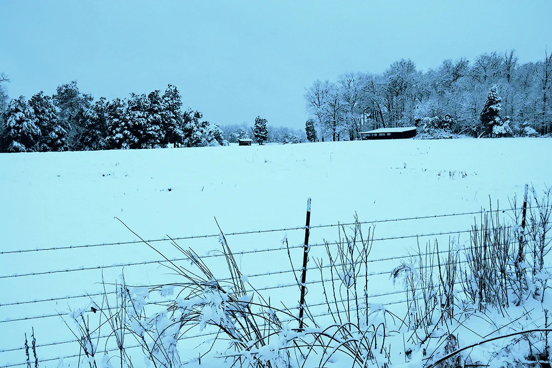 Snow 2015 Fence