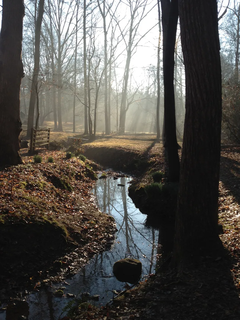 Creek 1