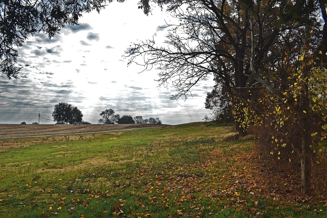 Poteat Farm 2