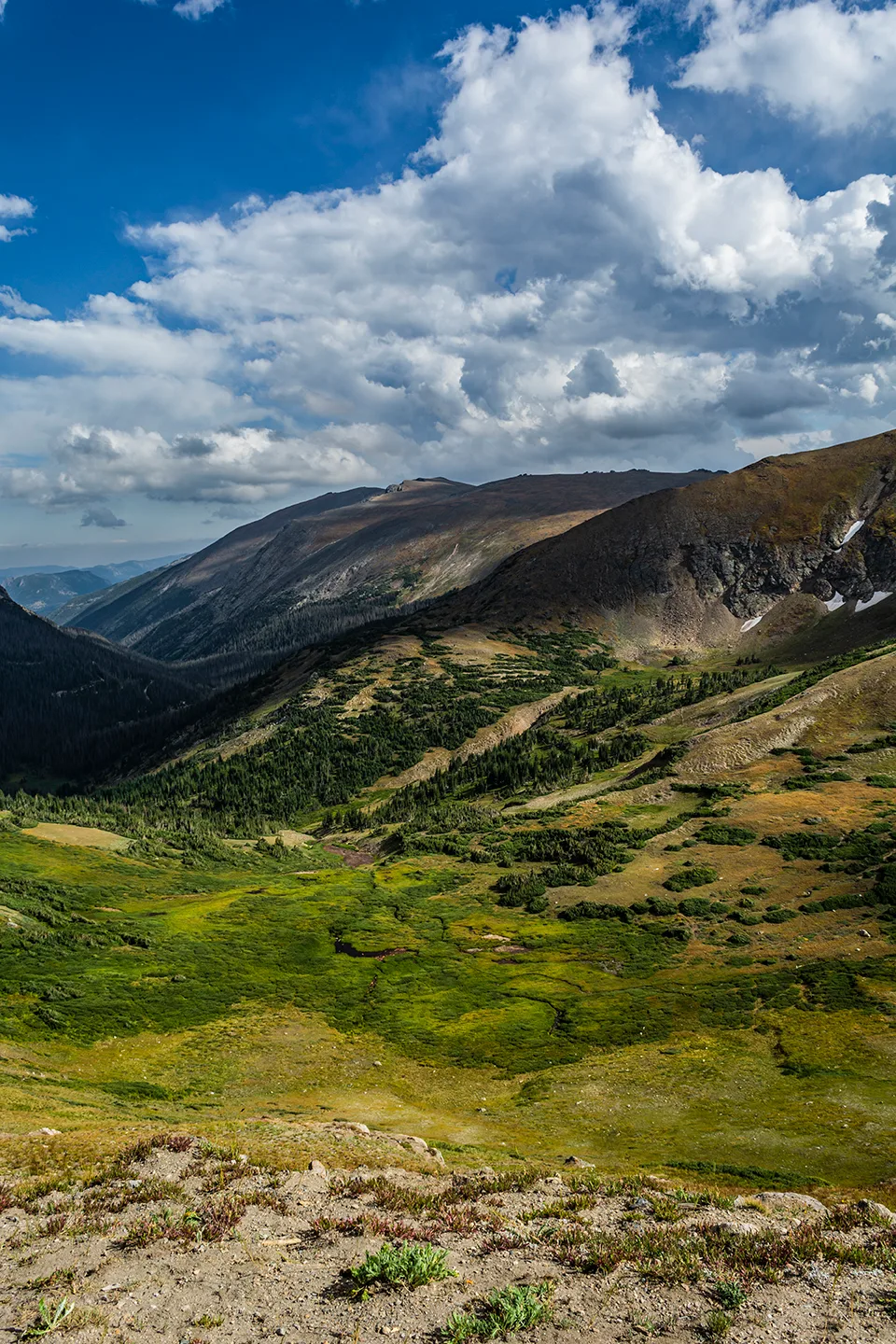 Rockymtn 12