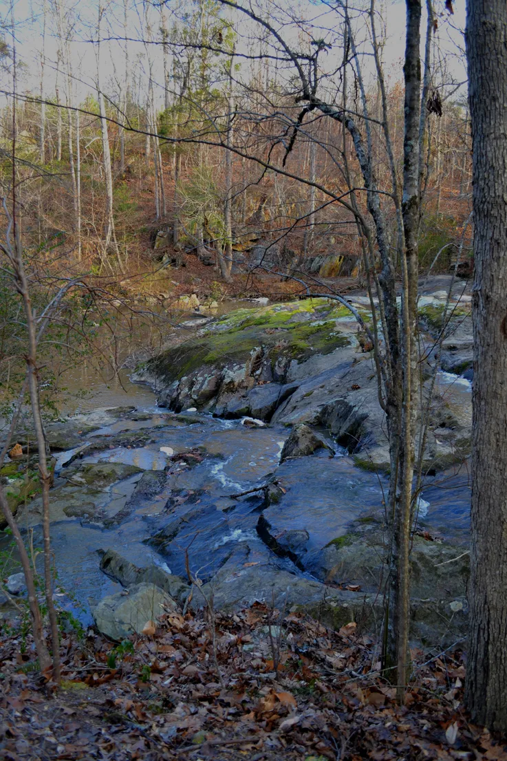 Uwharrie 1