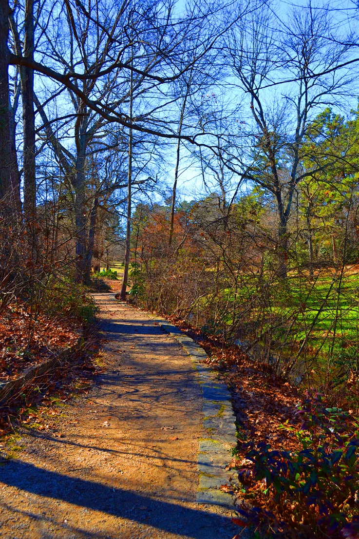 Hurley Park Path 2