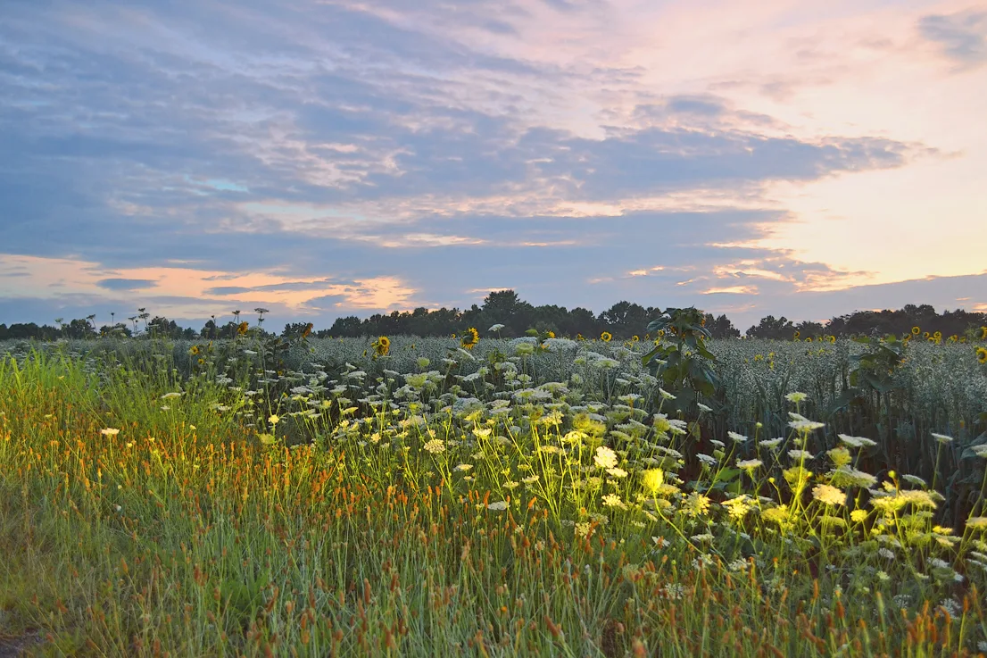 Hoffner Farm 20