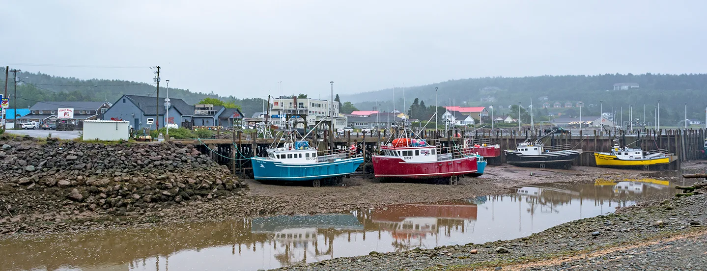 Newbrunswickalma 3