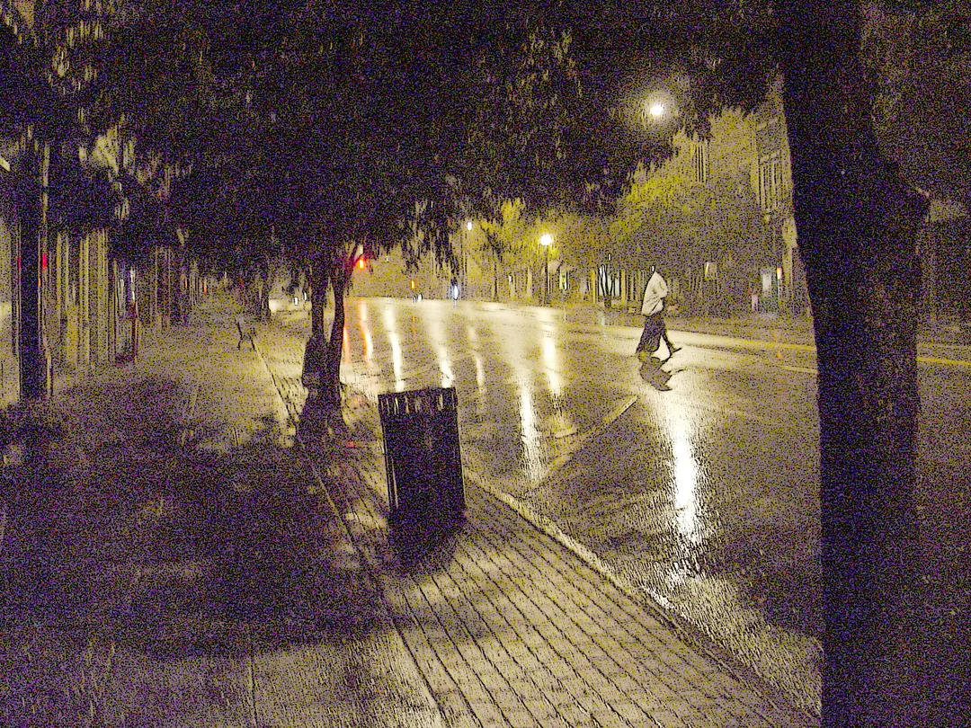 Pedestrian