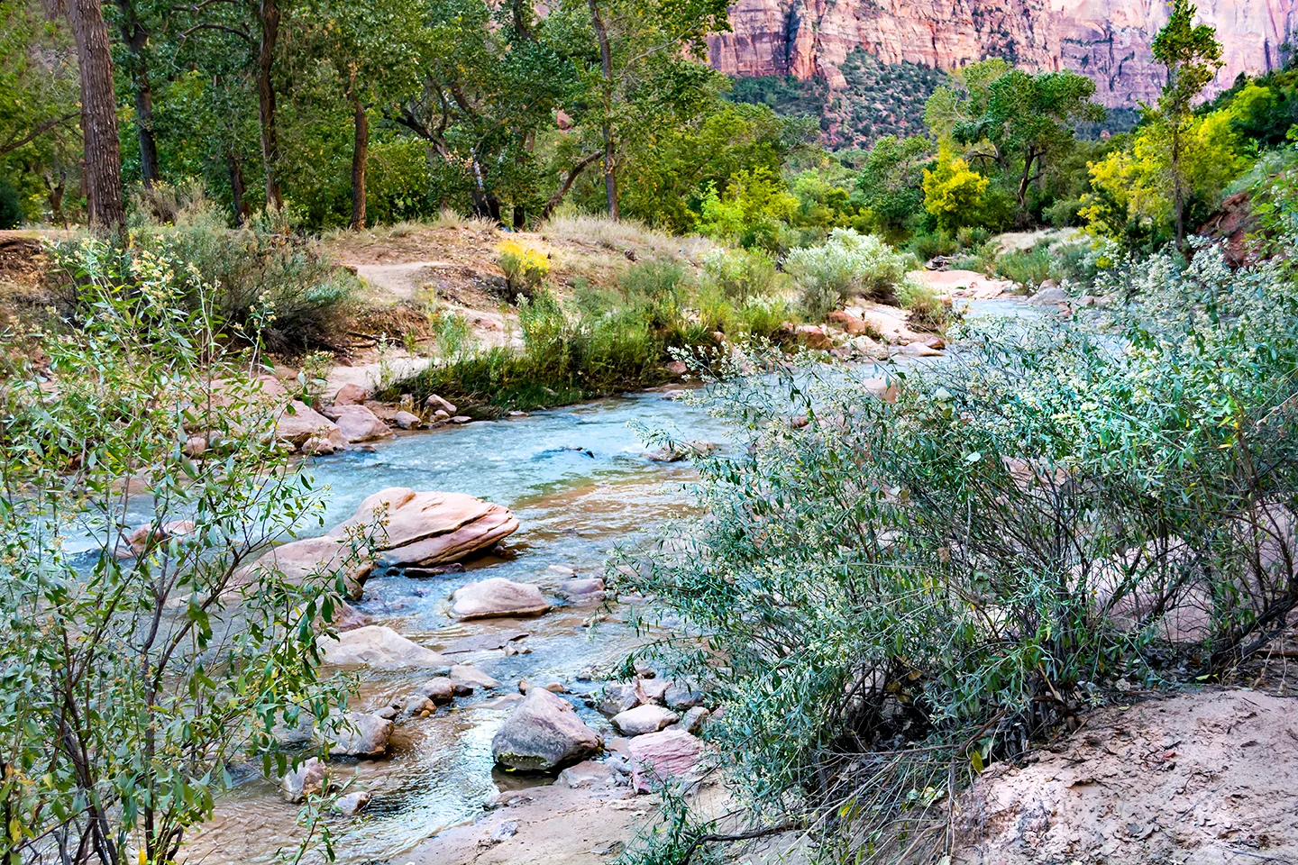 Zion 3