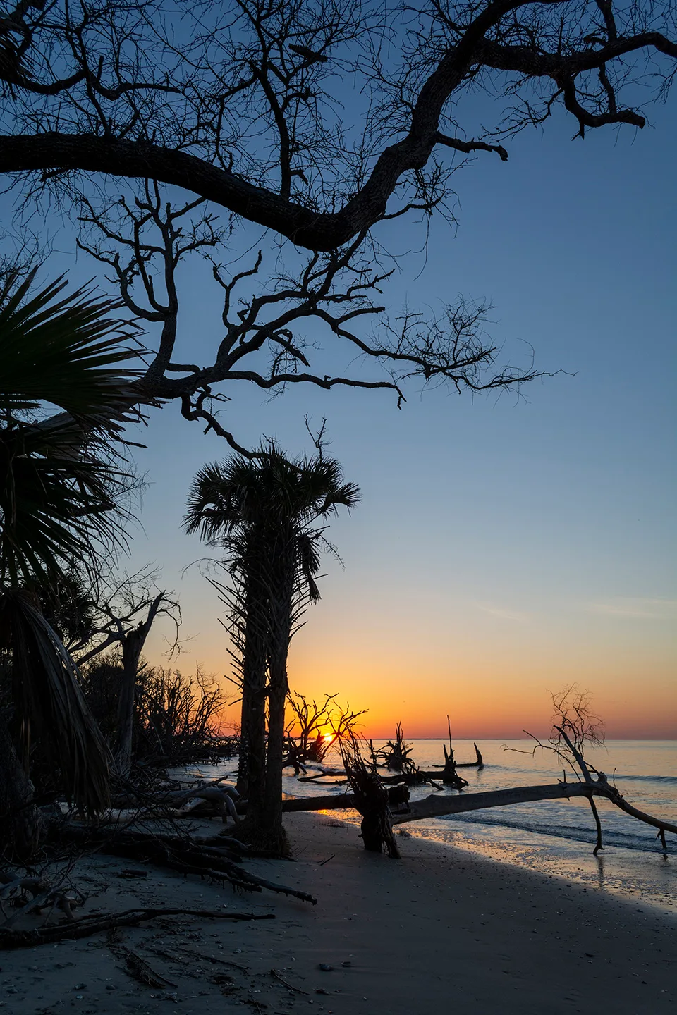 Edistosunrise 38