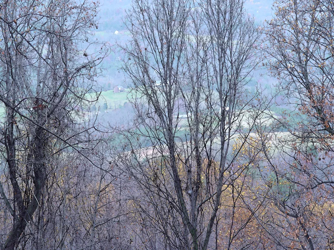 Landscape Br Wc