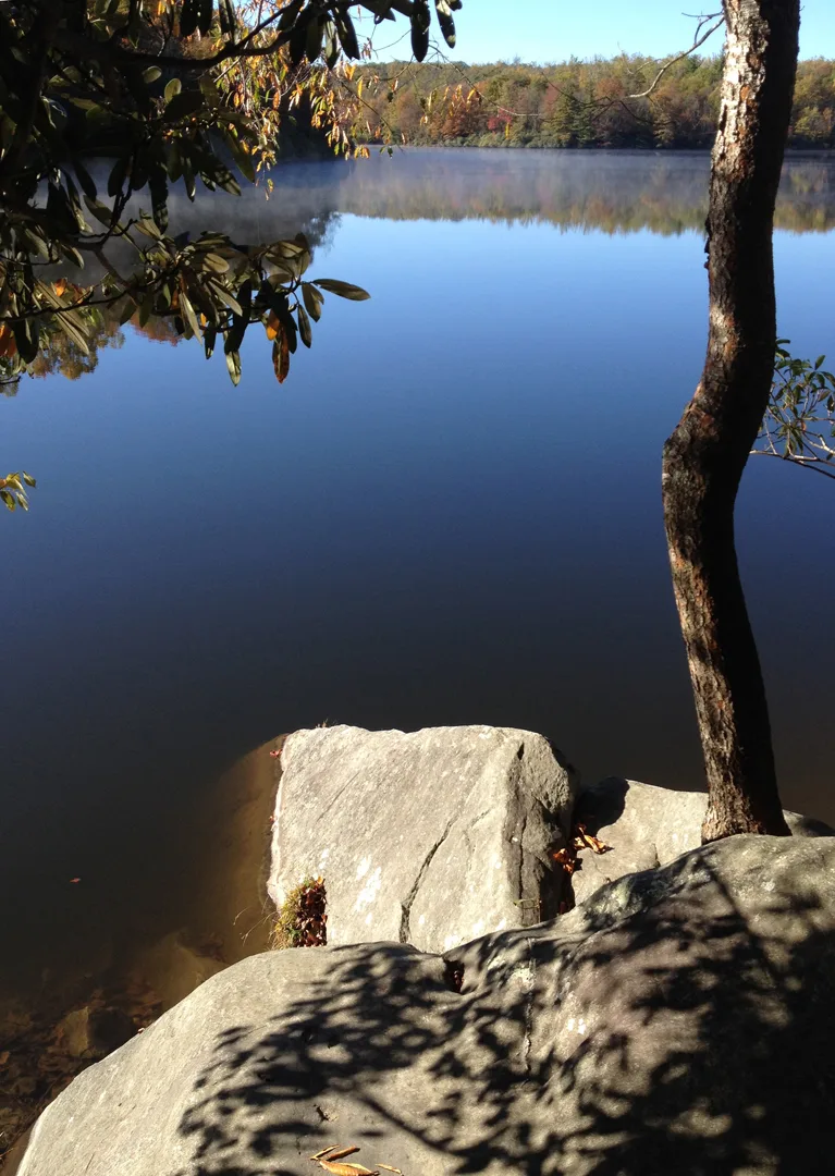Robs water pic