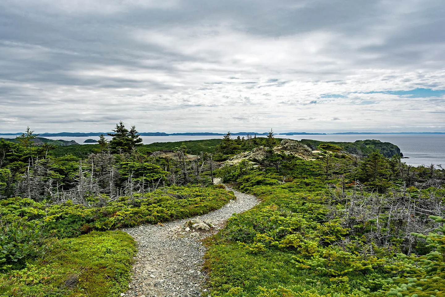 Twillingate 11