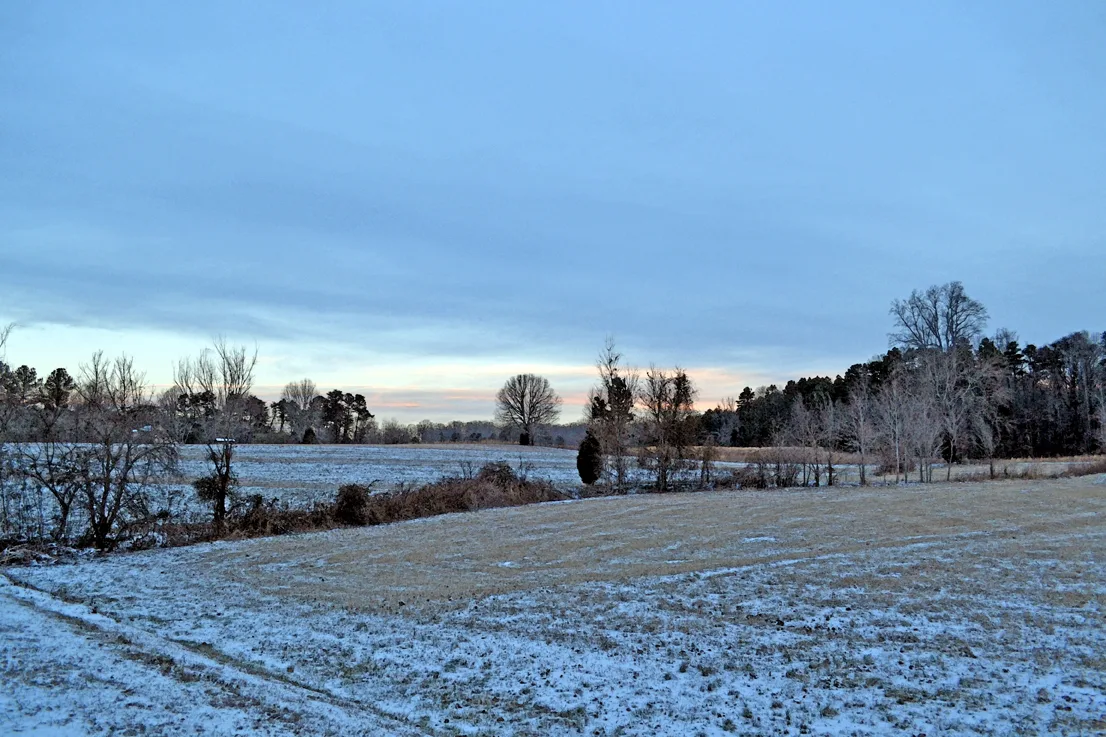 Snow 19