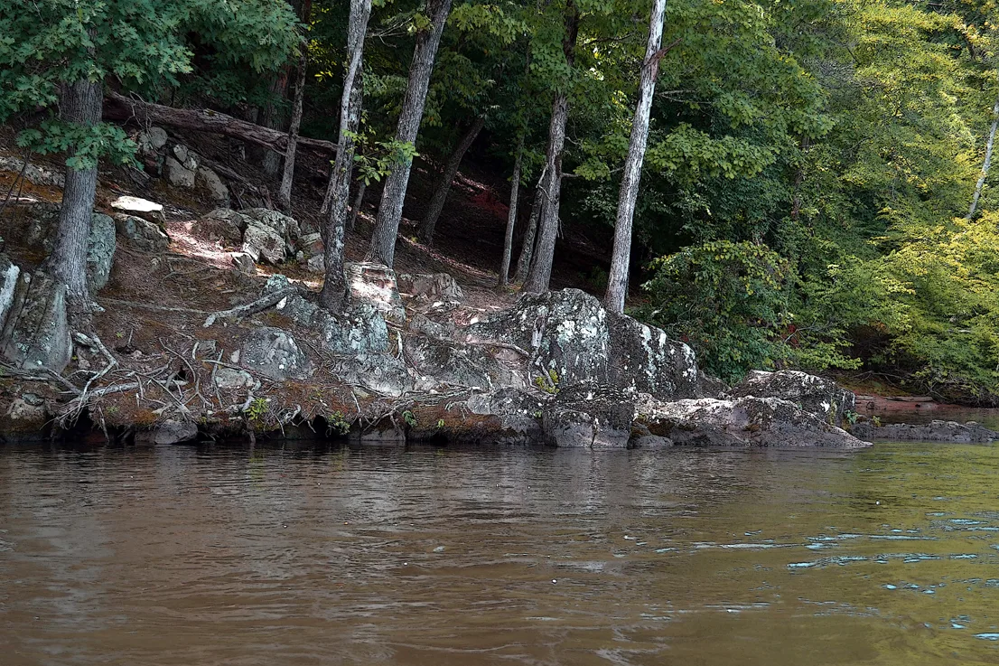 Yadkin-Peedee 7