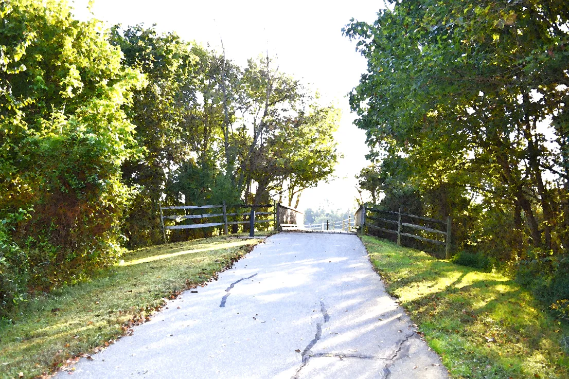 Trail 3