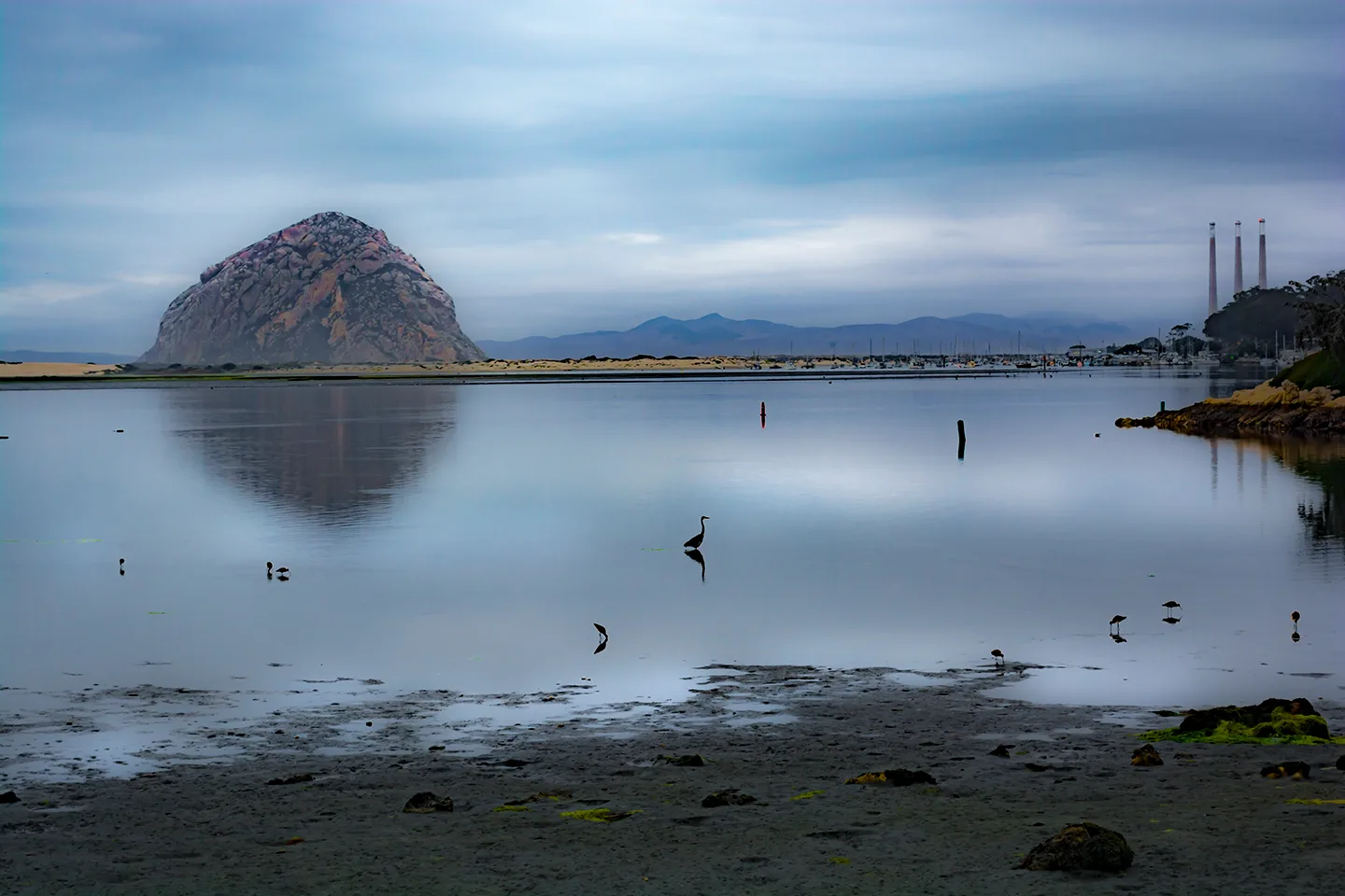Morrobay 7