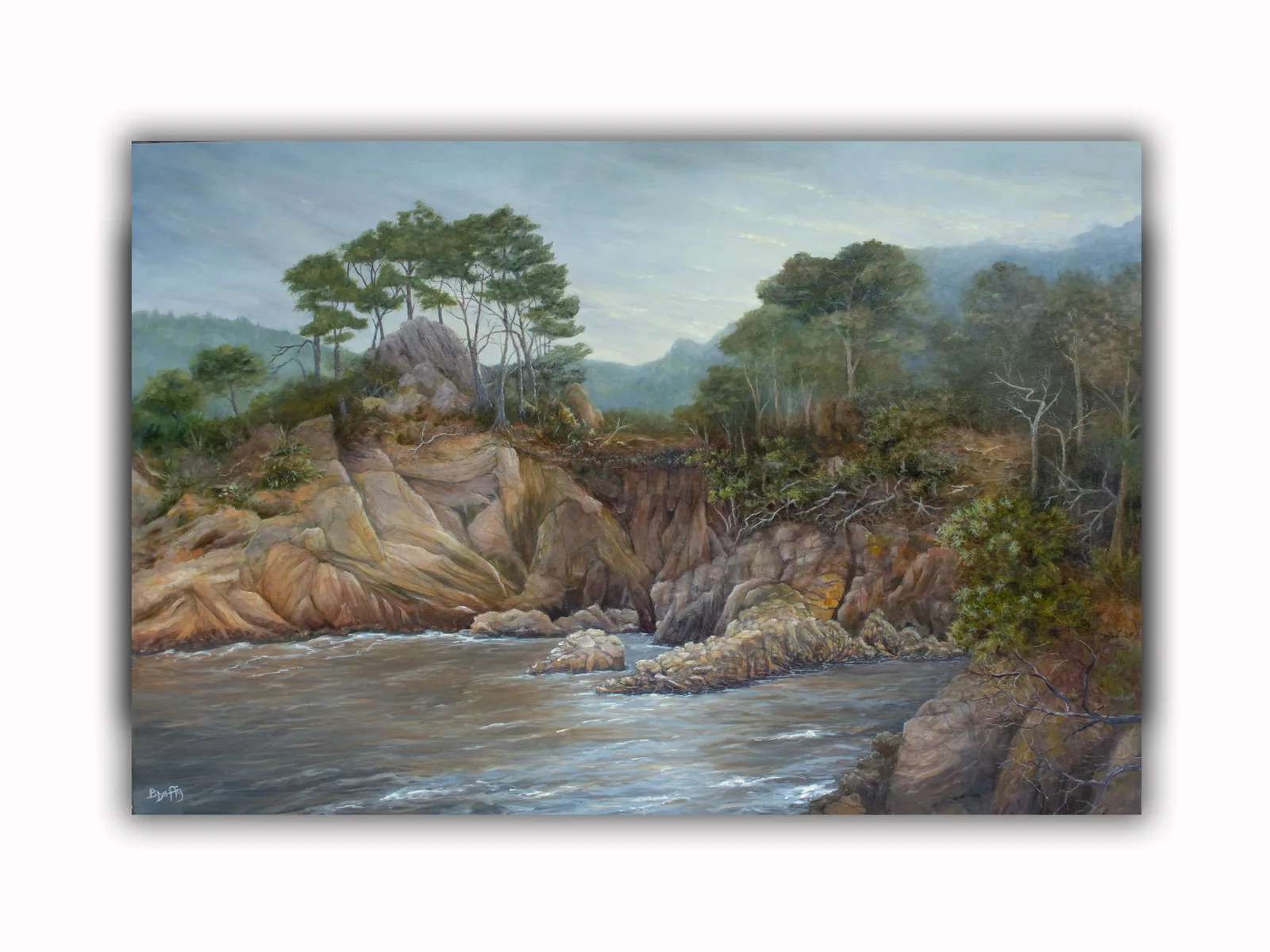 Point Lobos 1