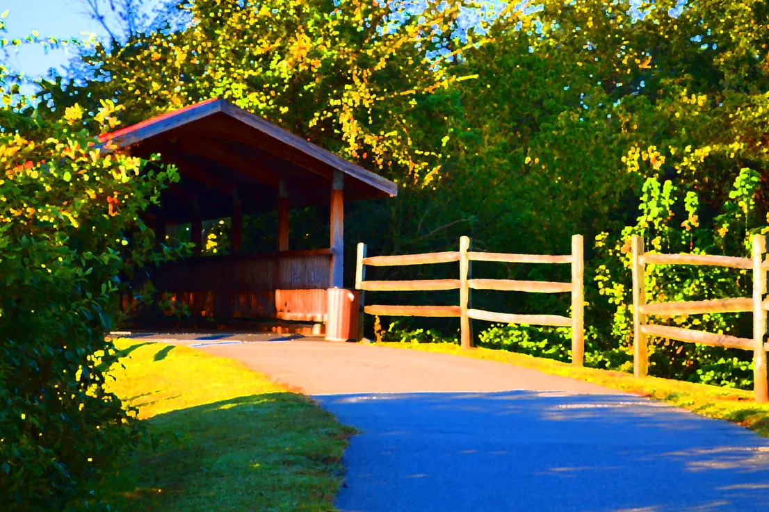 Trail Bridge 4