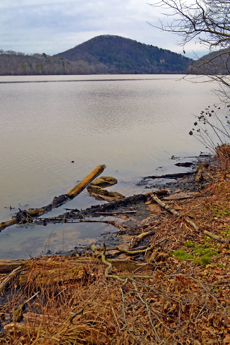 Wildlife Access 1