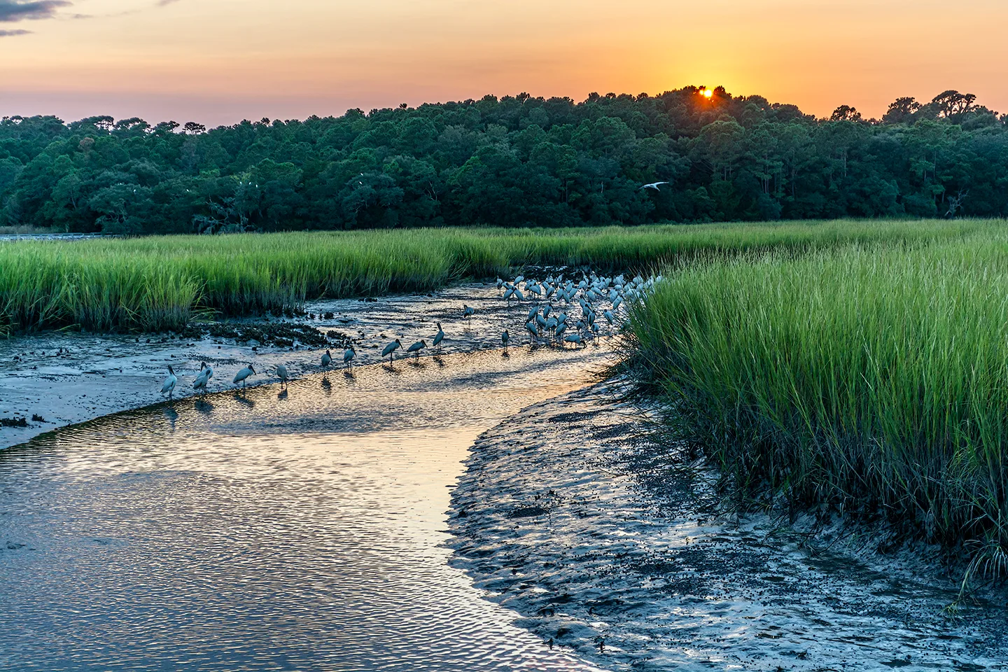 North Carolina