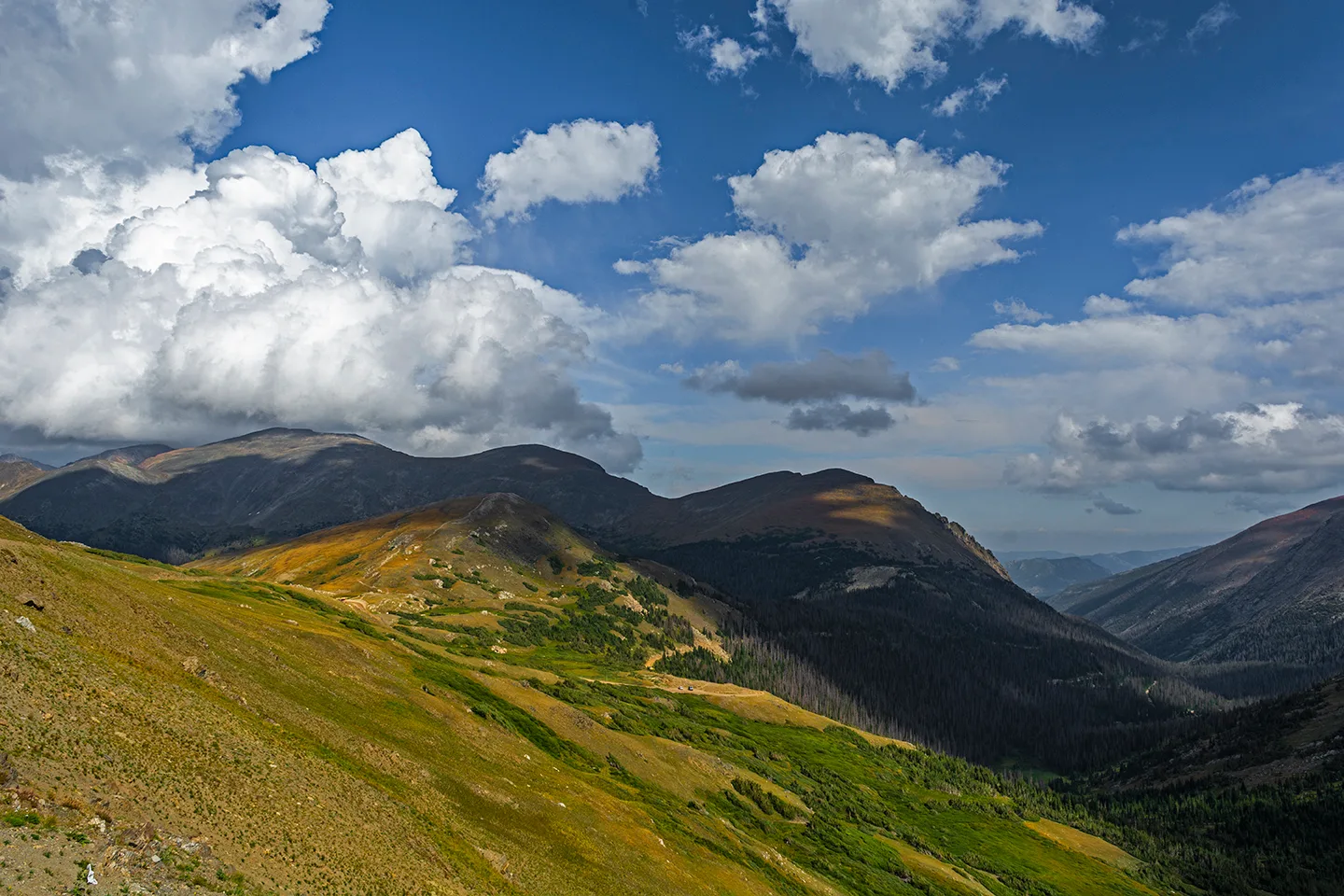 Rockymtn 14