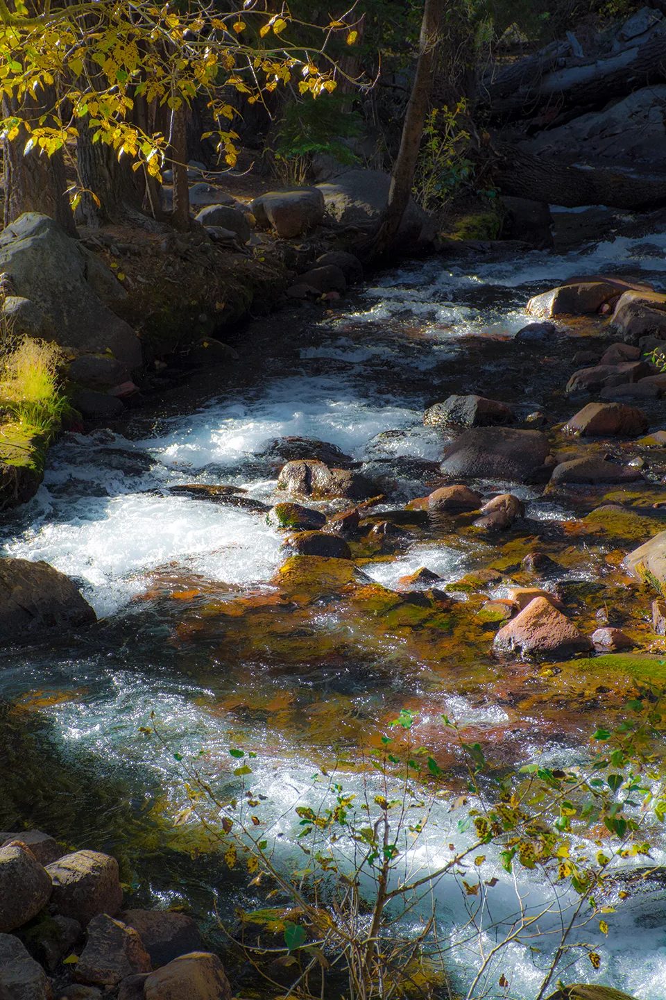 Yosemite 14