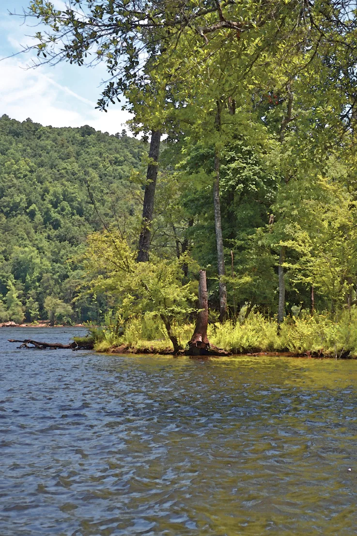 Yadkin-Peedee 27