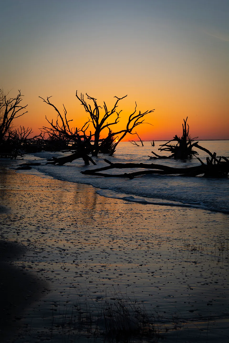 Edistosunrise 34