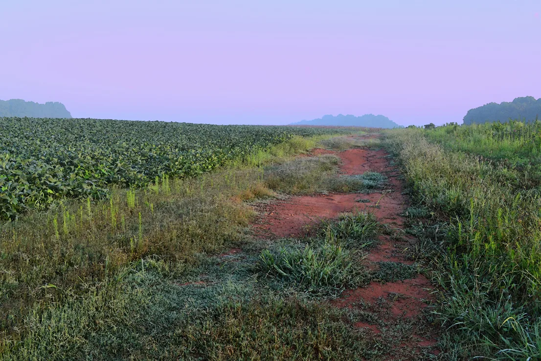 Dirtroad Cc