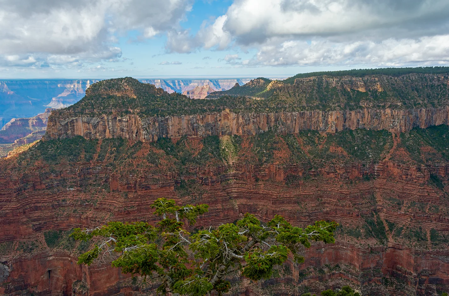 Northrim 14