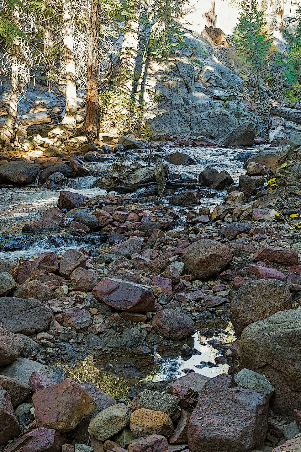 Yosemite 9