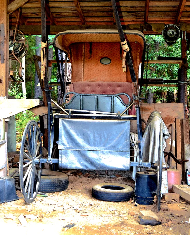 Buggie 5