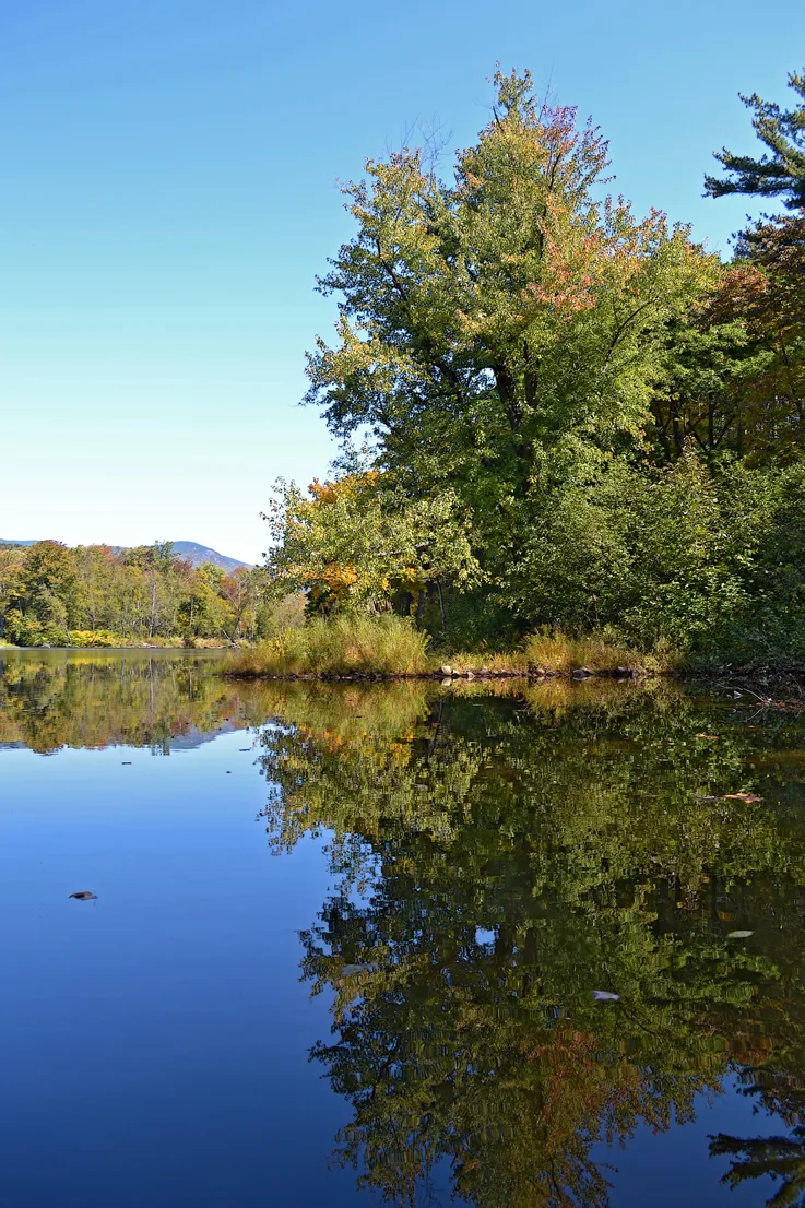 Kayak 5