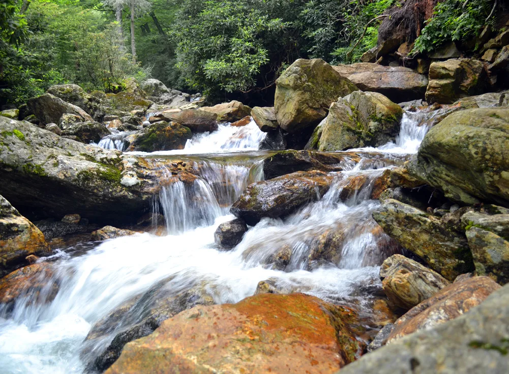 Waterfall 4 Pisgah