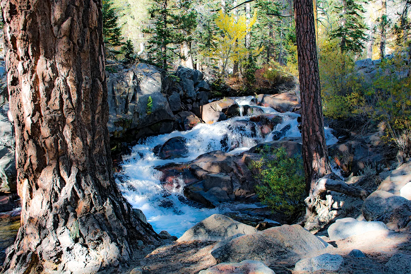 Yosemite 8
